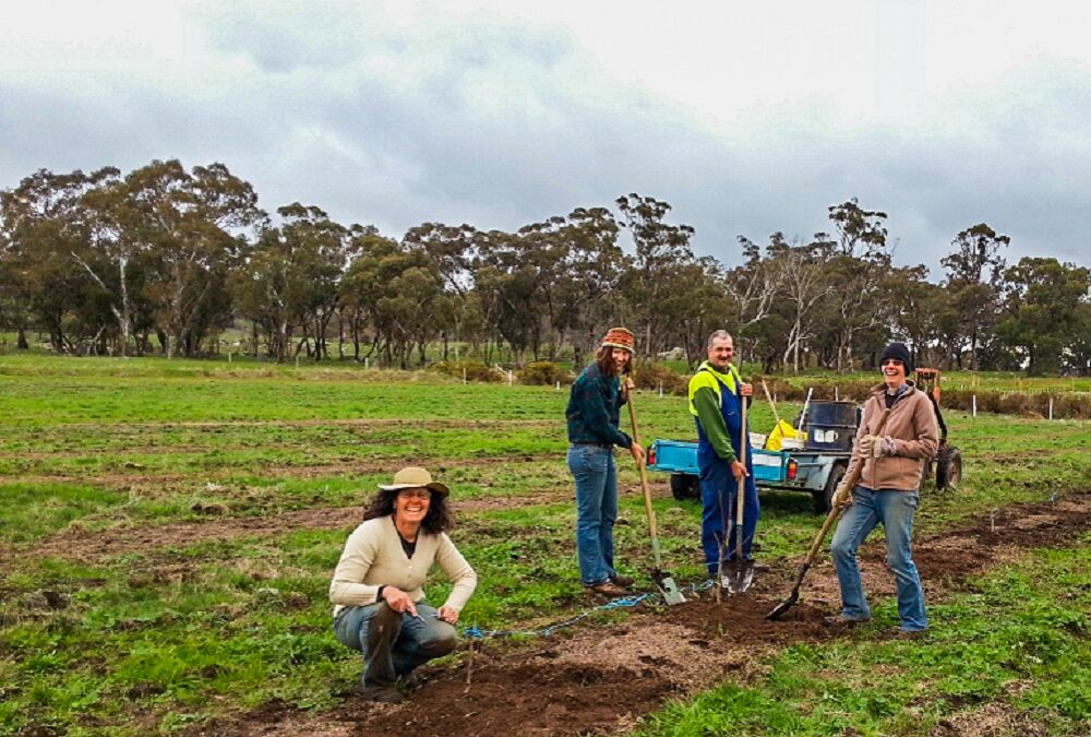 Creating community through gardening