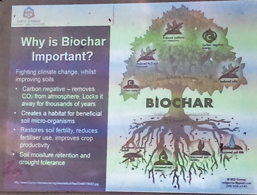 One of slides from John's biochar presentation, showing how biochar works with fruit trees