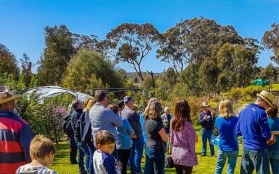 Are workshops the best way to learn about fruit growing?