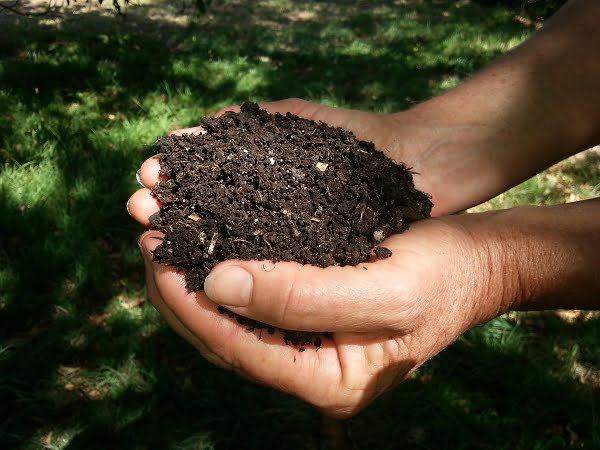 Maximising soil fertility