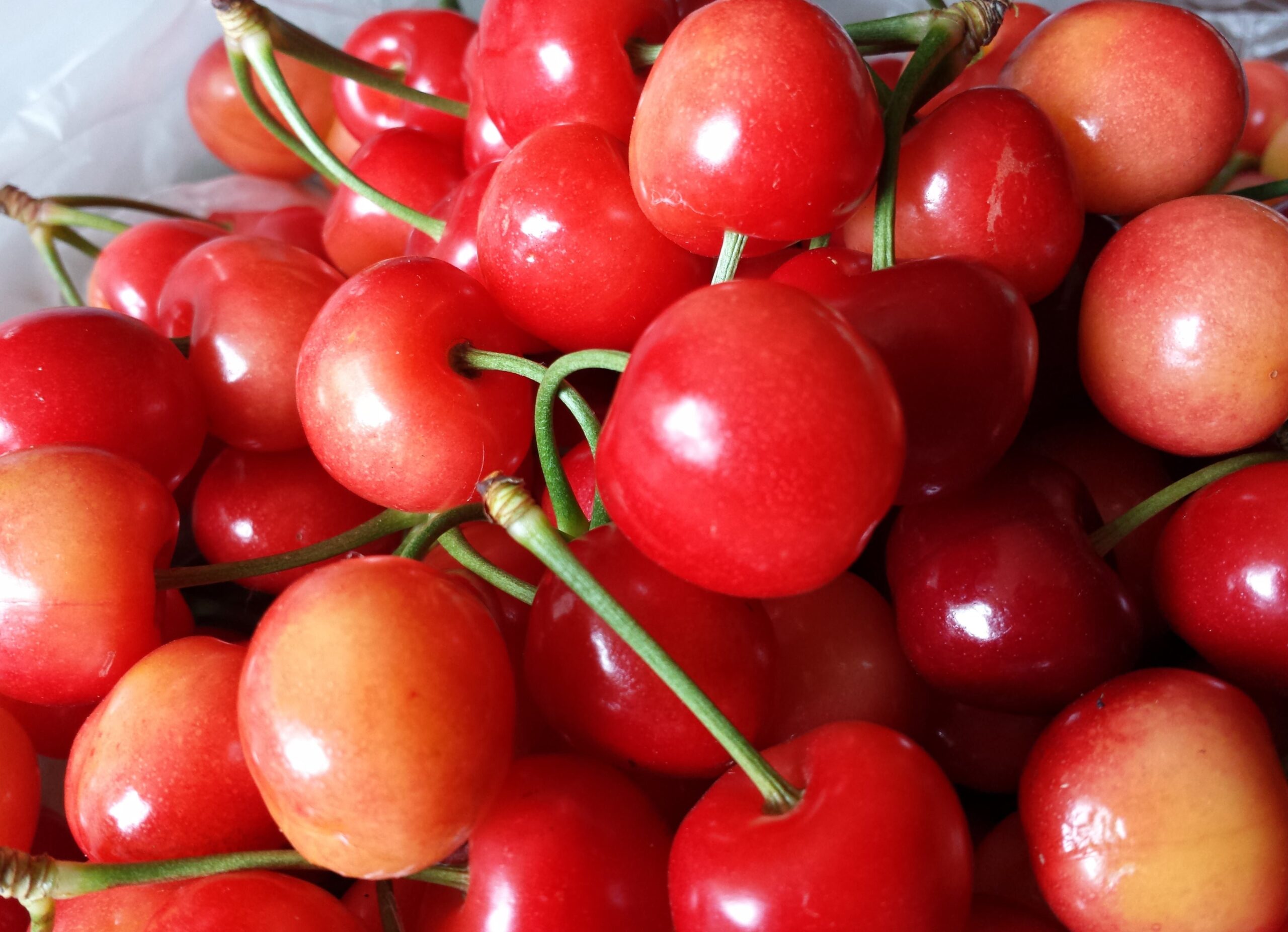 Super-sweet tree-ripened white-flesh Rainier cherries - one of the favourites when in season