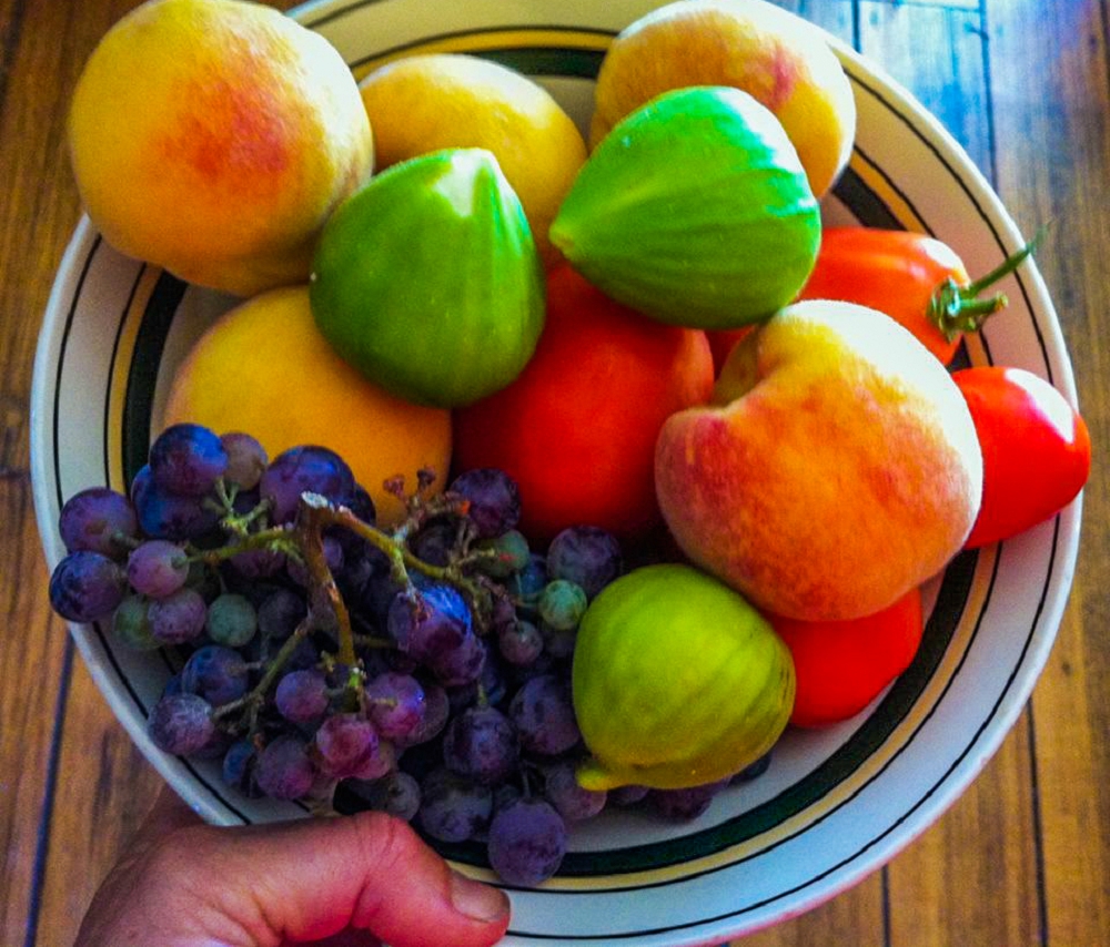 "I so love visiting friends with our pickings" (Photo: Trace Bella)