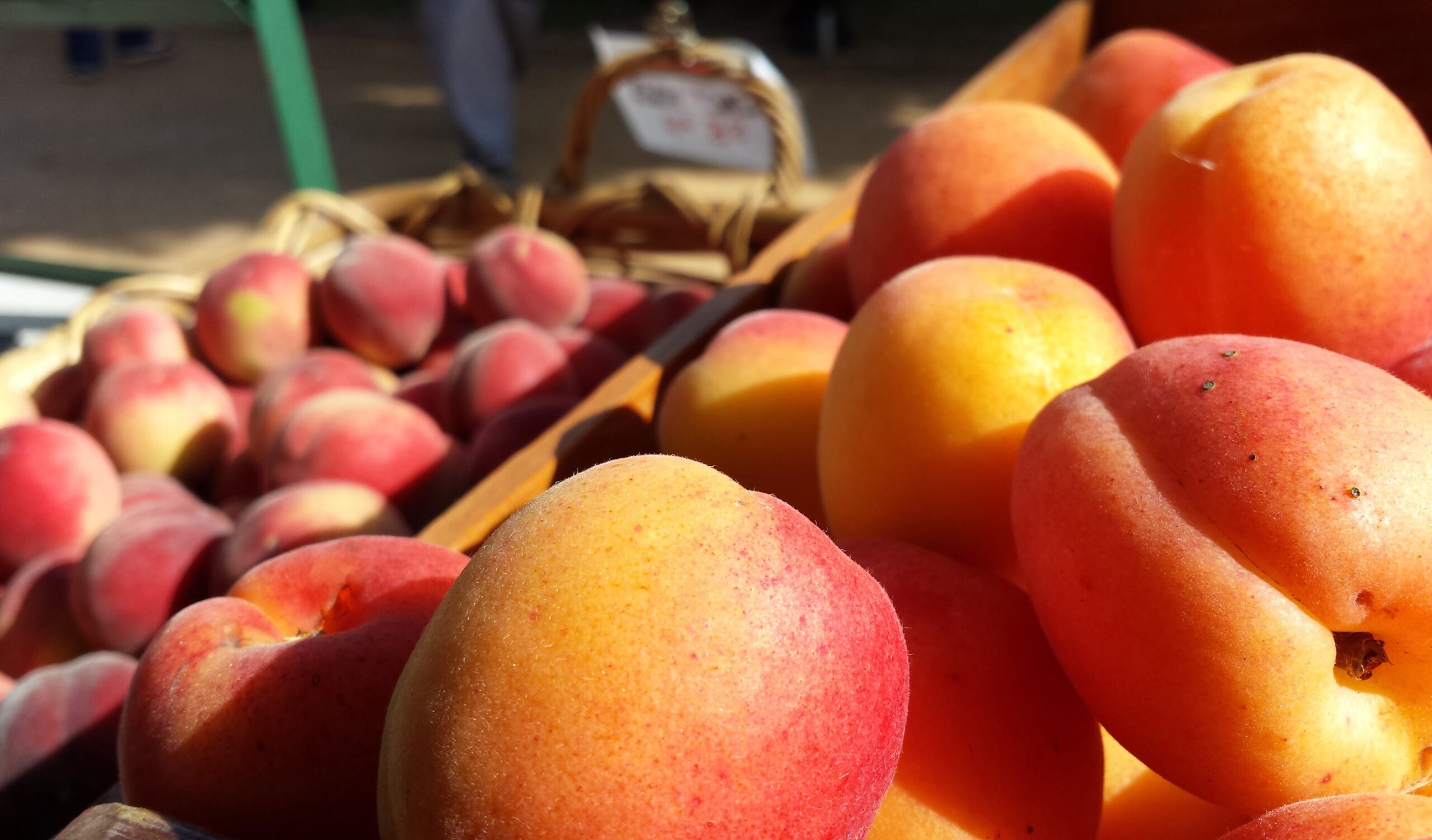 Apricots and peaches from our place, on the market stall waiting to go to new homes