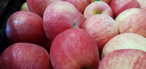 Gala apple