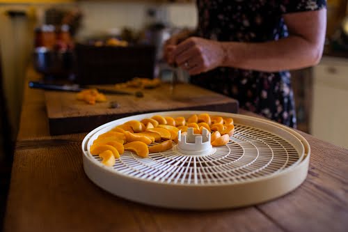 Drying fruit