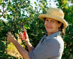smiling woman pruning a plum tree
