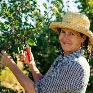 smiling woman pruning a plum tree