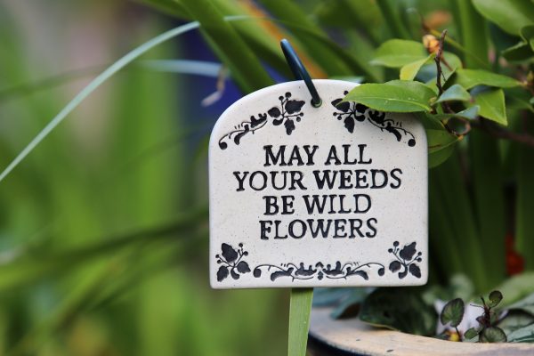 weed-sign