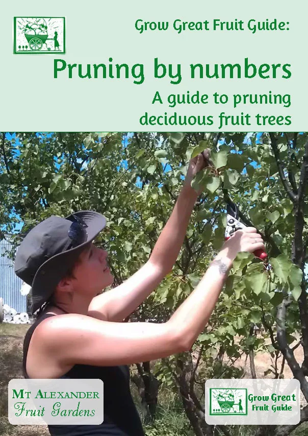 pruning organic fruit trees