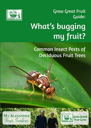 pests of organic fruit trees