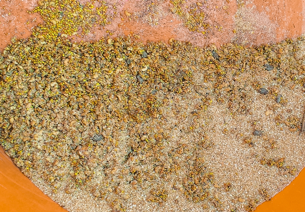 Diverse green manure seed mixed with sand in a bucket prior to spreading