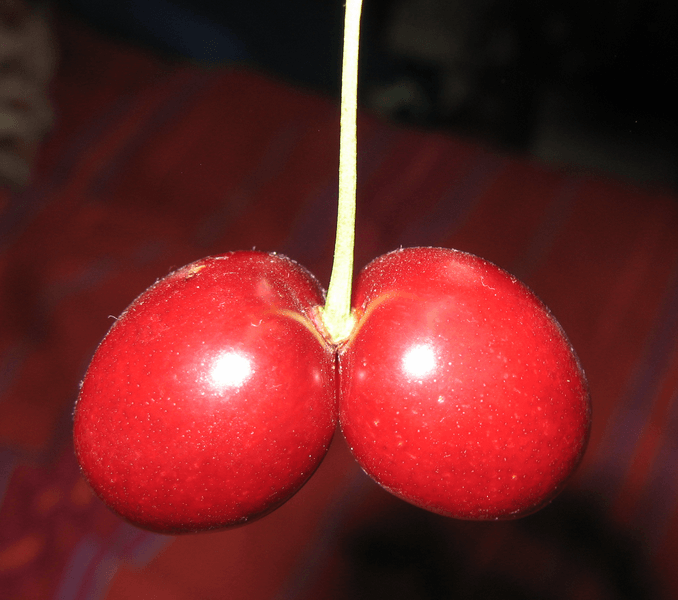 Double fruits. Дабл черри.