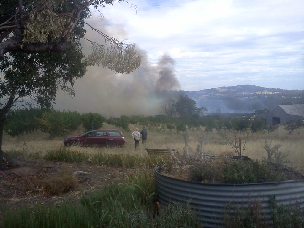 Katie and Hugh watching the fire burn through the orchard