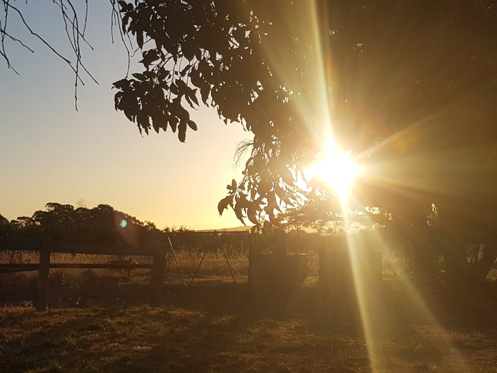 The farm's starting to get that 'autumn' feel (thanks to Penny Kothe for this beautiful shot)