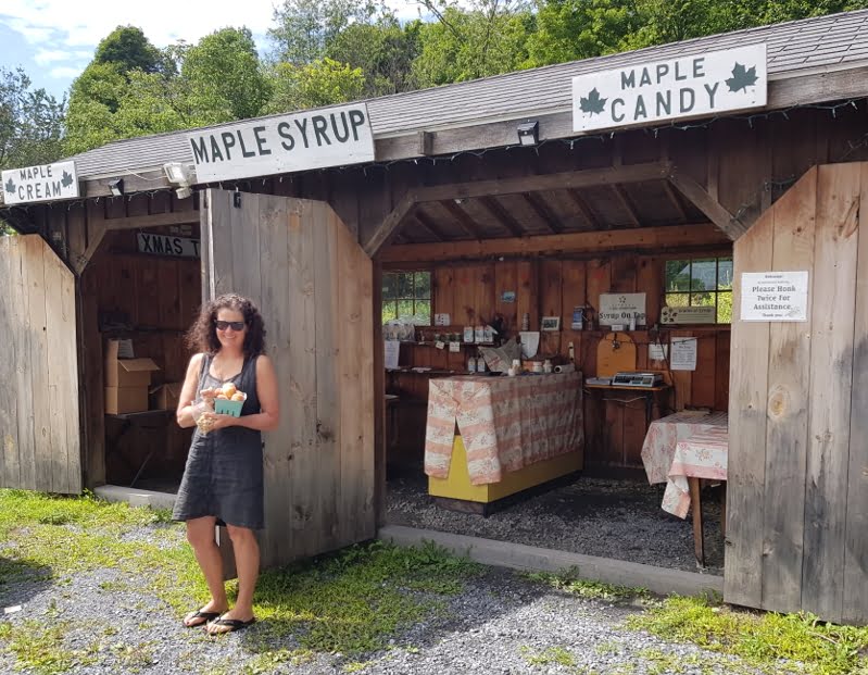 A small orchard stall selling peaches, maple syrup and maple walnuts - yum! 