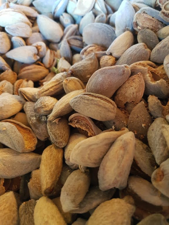 Home grown almonds waiting to be shelled and turned into delicious cake