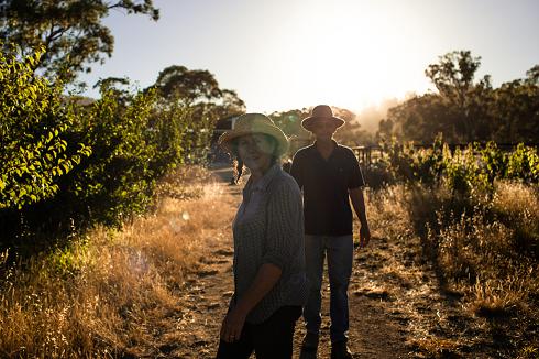 Katie and Hugh in a hot orchard (photo credit: Biomi Photo)