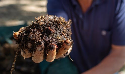 Feeding your fruit trees to prepare for next season