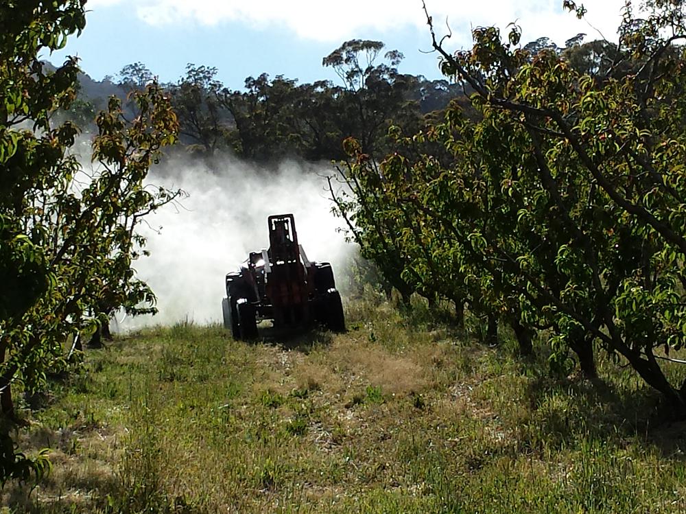 Hugh spraying an organic fungicide in the orchard