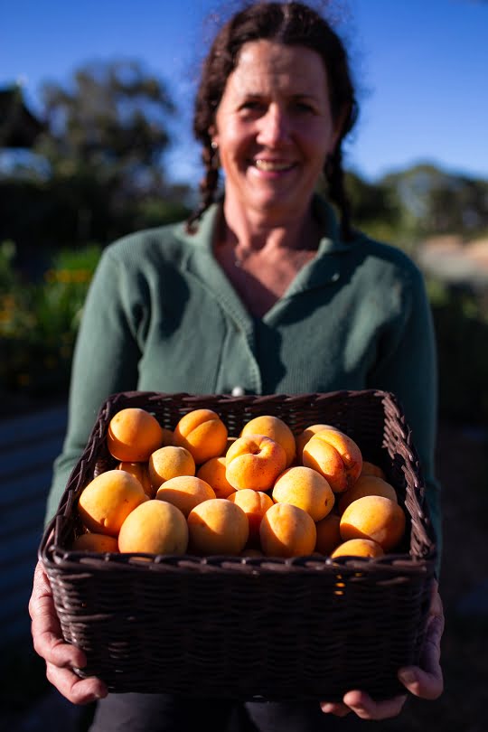 Katie with basket of great organic fruit