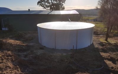 Creating water security for your fruit trees