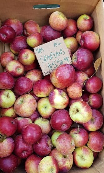 Certified organic spartan apples