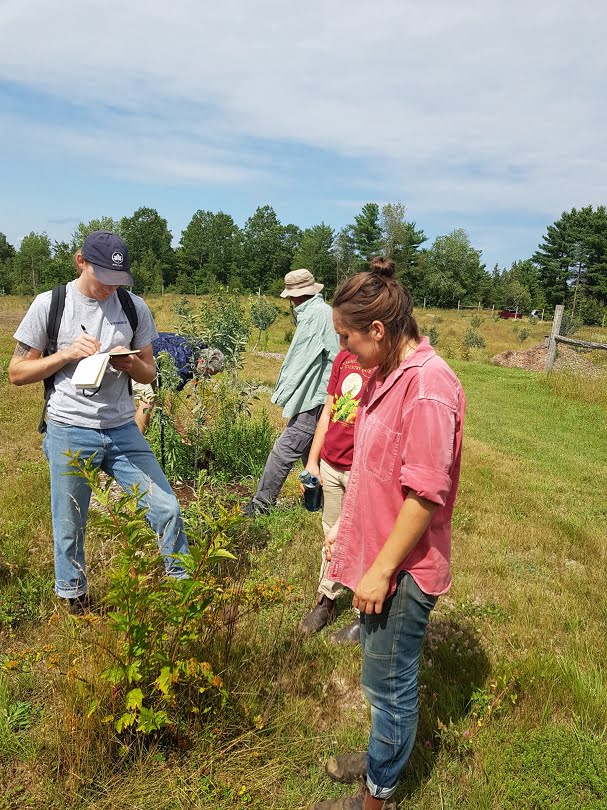 A group of people standing in an orchard looking at a small apple tree. A woman in a pink shirt is talking about the tree while a man in a grey t-shirt takes notes.   