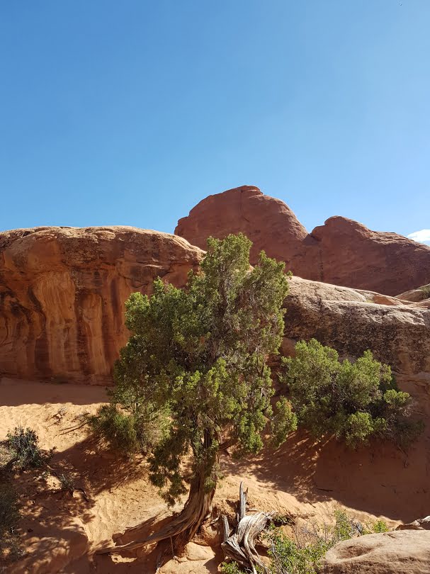 Arches National Park in Utah