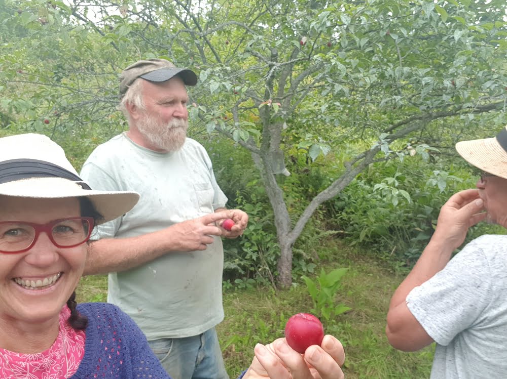 ﻿Enjoying a tour of Michael Phillips' (author of The Holistic Orchard) 
orchard in New Hampshire