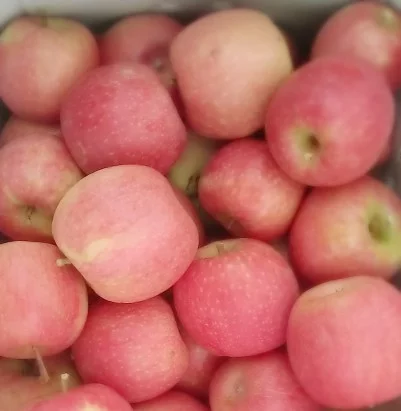 Pink lady apples that are pale in colour