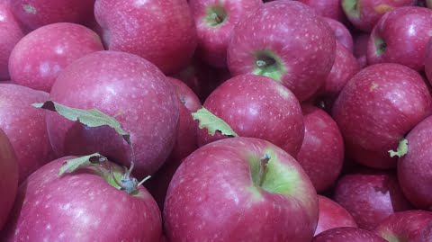How to Make Pink Lady Apples Pink