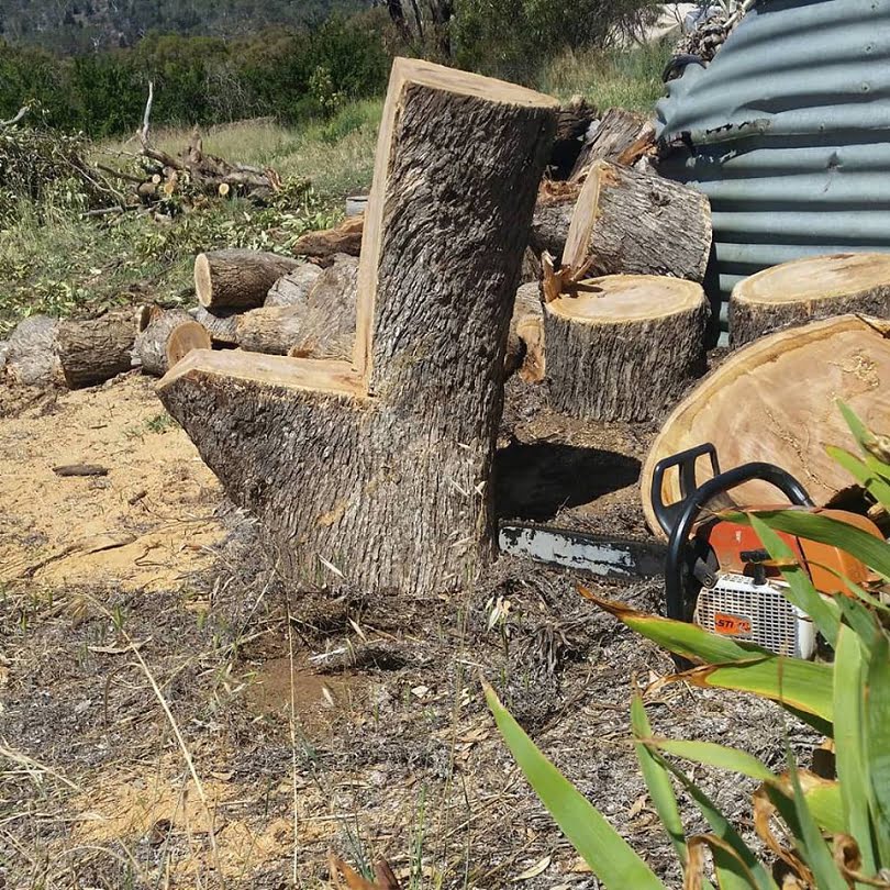 A fallen branch is value-added to turn it into a handy garden seat