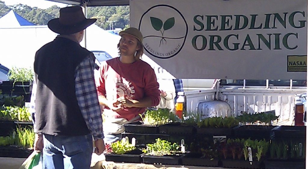 A young male farmer is standing behind his market table in front of a banner that says "Seedling organic". A customer wearing jeans, a dark blue vest and black hat is standing with his back to the camera talking to the farmer. 