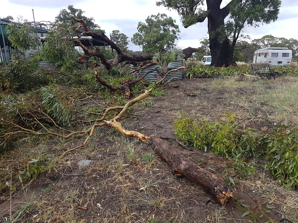 Branches that have come down from a gum tree in a massive storm