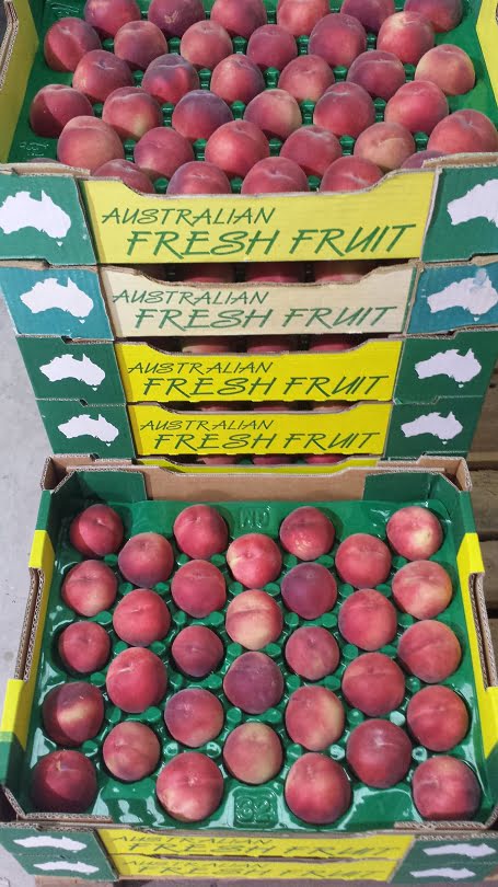 Lovely Red Briggs May peaches in the tray