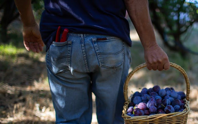 Hugh with basket 