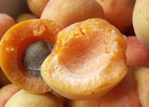 Ripe apricot, split in half