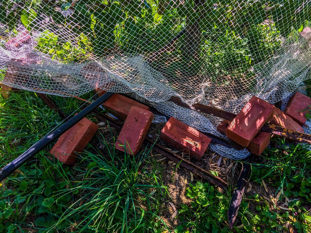 Bricks and poles holding down a fruit tree net