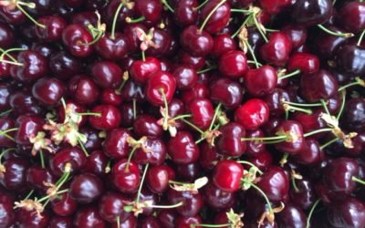Nine good reasons to grow cherries