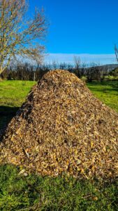 A pile of woodchips on green grass