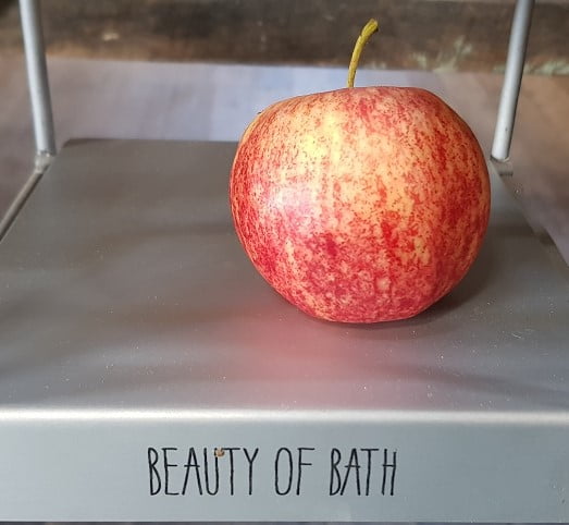 The little-known variety Beauty of Bath