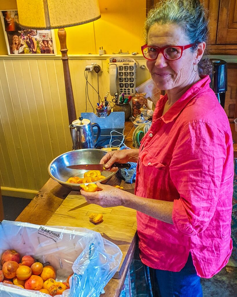 Katie at the kitchen bench wearing a salmon coloured shirt cutting apricots for preserving