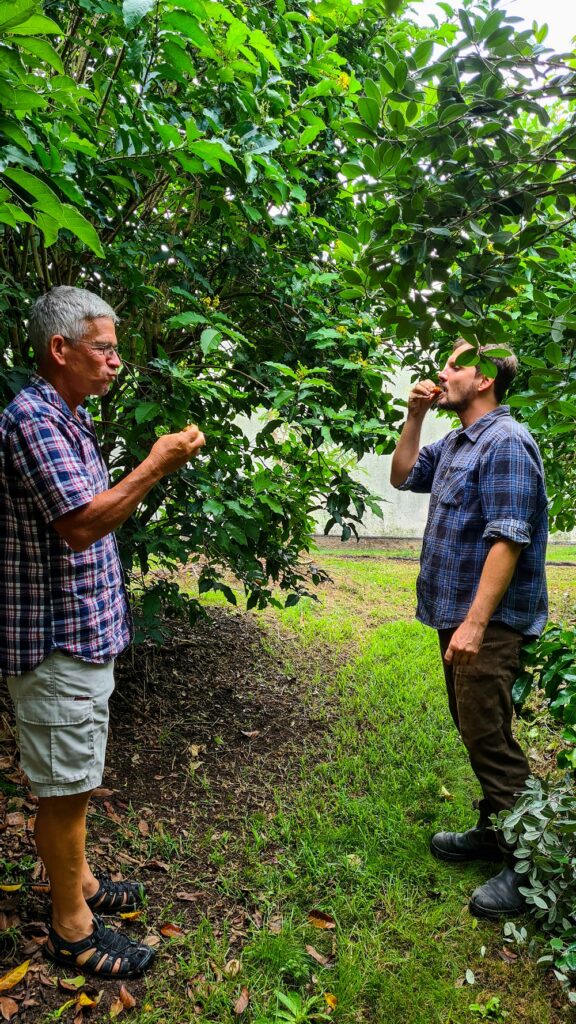 Paul and Hugh hoeing into some peanut butter fruit