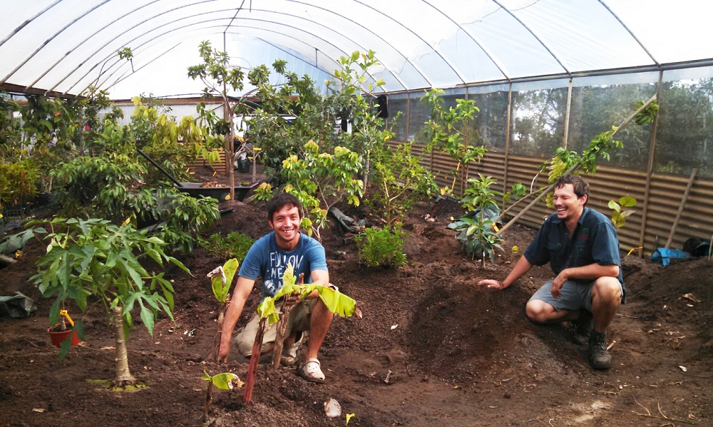 Andre and Paul planting out the Biodome at Daleys Nursery