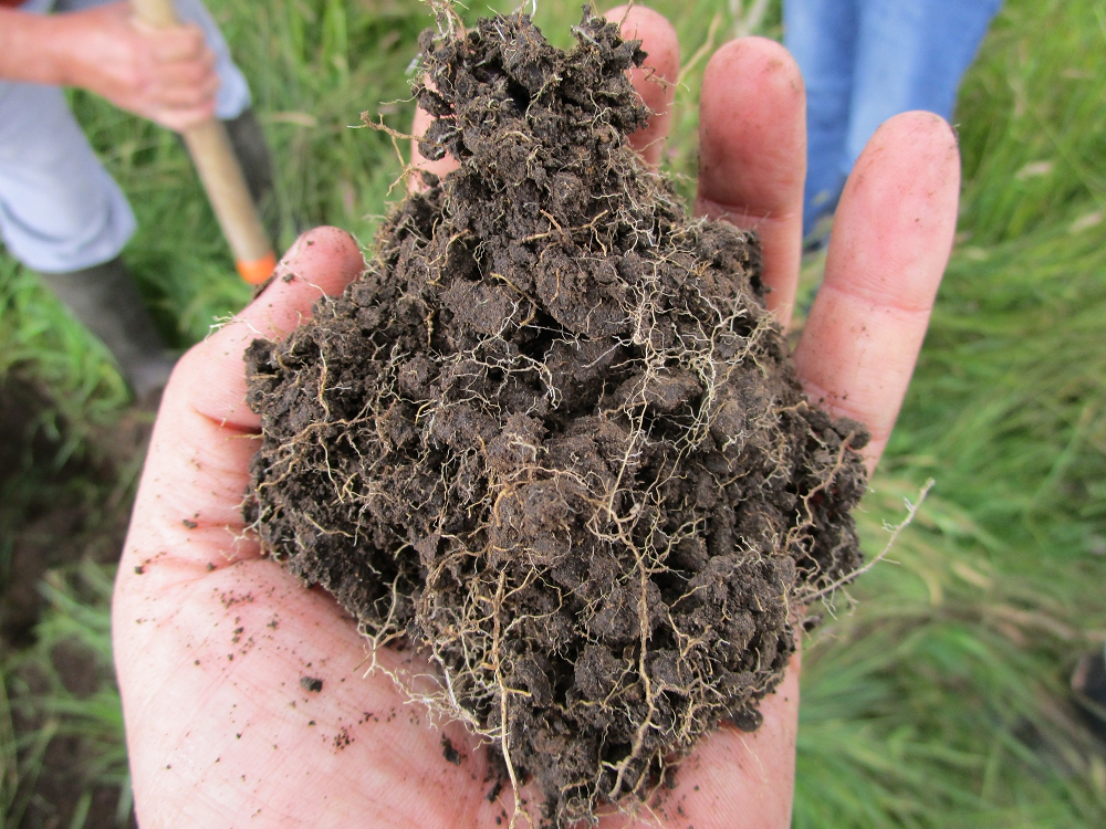 A handful of healthy soil 
Photo credit: Dr. Christine Jones