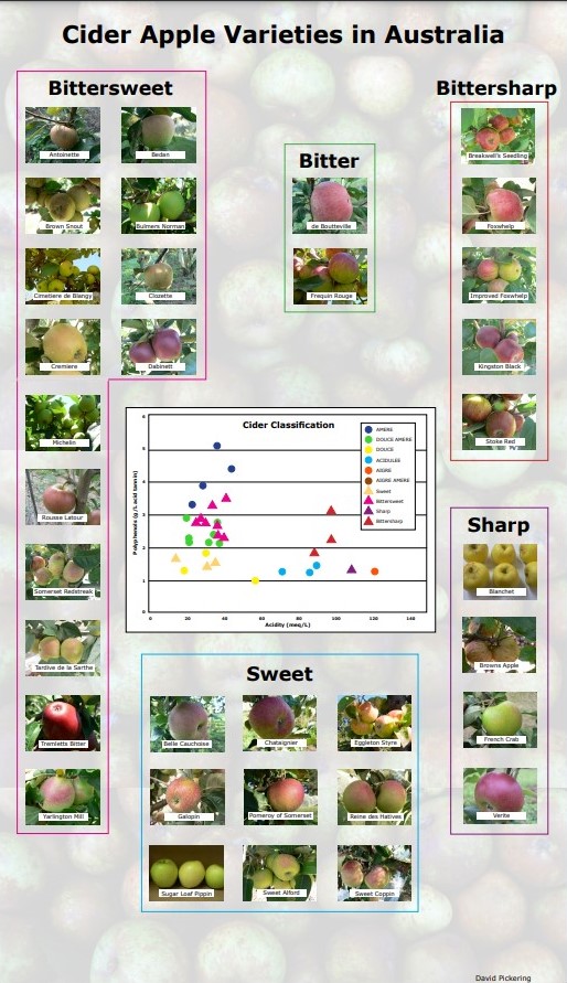 A selection of cider apple varieties available in Australia (courtesy of David Pickering