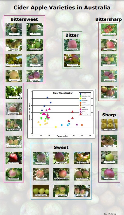 apple varieties poster