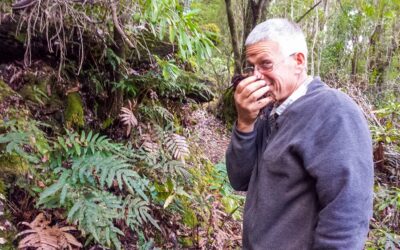 3 simple ways to improve your soil for your fruit trees