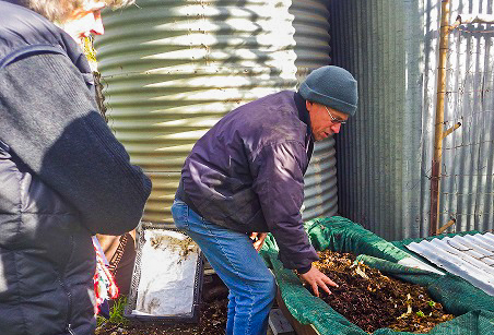 Can compost tea fix yellow leaves on your fruit tree?