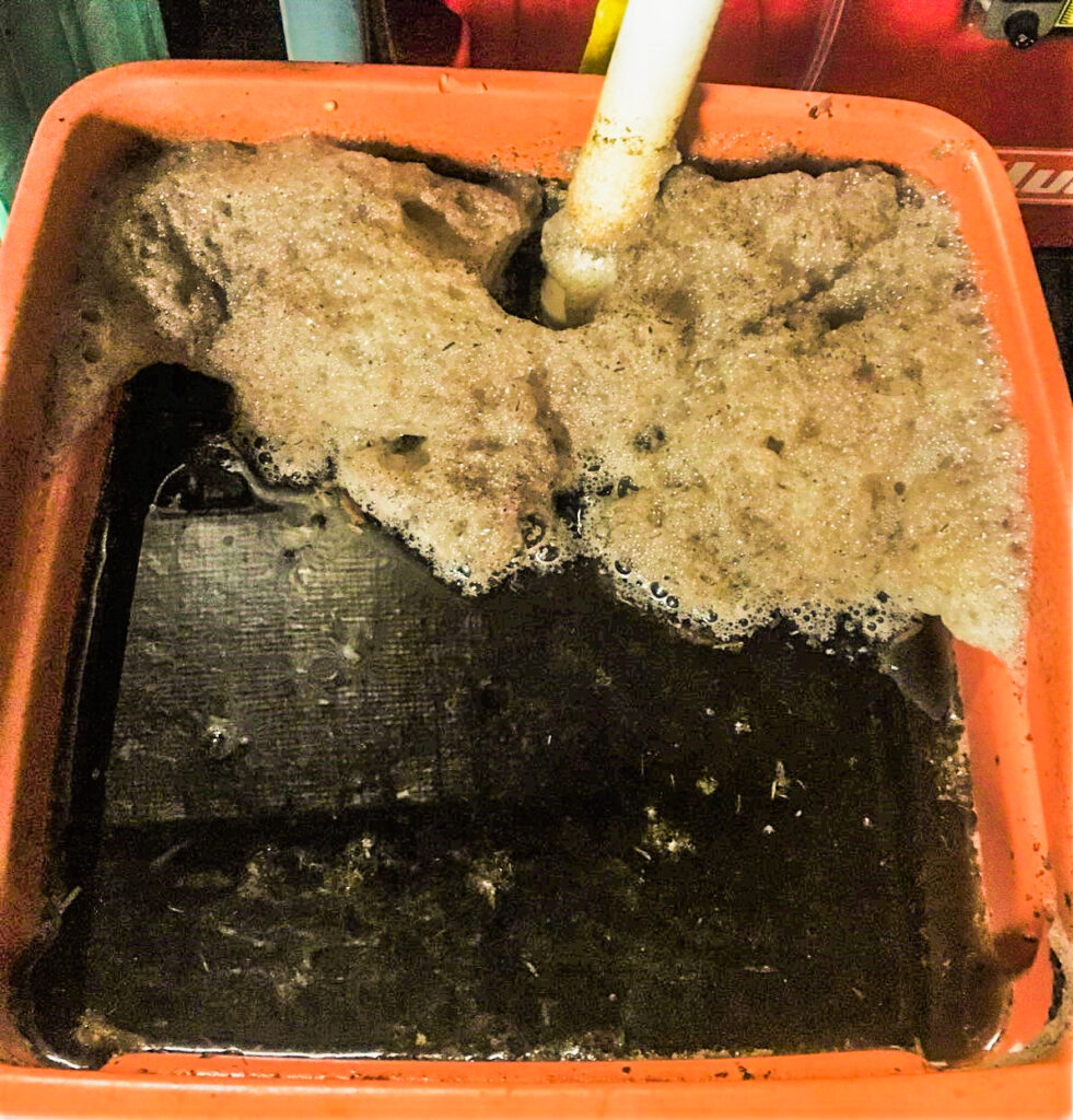 A compost tea brew bubbling away